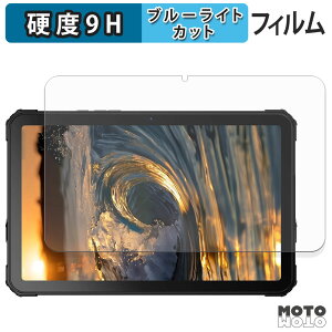 �y�|�C���g2�{�z �ی�t�B���� FOSSiBOT DT3 5G �u���[���C�g�J�b�g �t�B���� 9H���d�x ����d�l ���{��