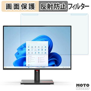 取り外し簡単 Lenovo ThinkVision T24d-30 ブルーライトカット フィルター アンチグレア 液晶保護 プロテクター