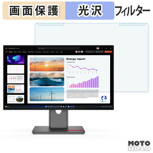 �y�|�C���g2�{�z ���O���ȒP Lenovo ThinkVision P24Q-40 / P24QD-40 �u���[���C�g�J�b�g �t�B���^�[ ����d�l �t���ی� �v���e�N�^�[