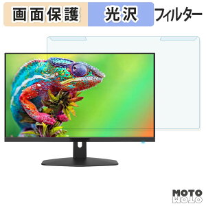 ���O���ȒP Sceptre E248W-FW100T �u���[���C�g�J�b�g �t�B���^�[ ����d�l �t���ی� �v���e�N�^�[