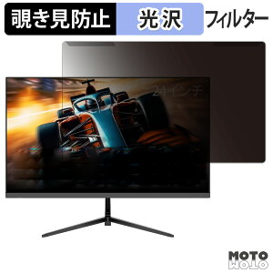 OȒP FeuVision FSID24DF1 `h~ vCoV[ tB^[ dl tی veN^[