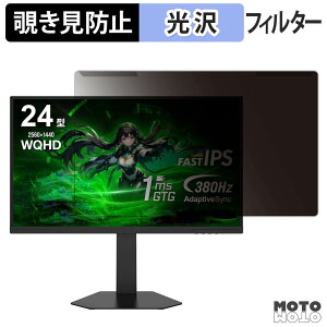 ���O���ȒP Titan Army P245MS PRO �`�����h�~ �v���C�o�V�[ �t�B���^�[ ����d�l �t���ی� �v���e�N�^�[