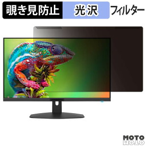 ���O���ȒP Sceptre E248W-FW100T �`�����h�~ �v���C�o�V�[ �t�B���^�[ ����d�l �t���ی� �v���e�N�^�[