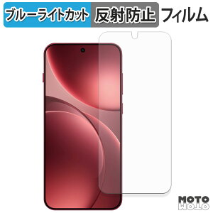 �y�|�C���g2�{�z �ی�t�B���� OPPO Find X9 �u���[���C�g�J�b�g �t�B���� �A���`�O���A ���{��