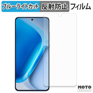 �y�|�C���g2�{�z �ی�t�B���� vivo iQOO Neo11 �u���[���C�g�J�b�g �t�B���� �A���`�O���A ���{��