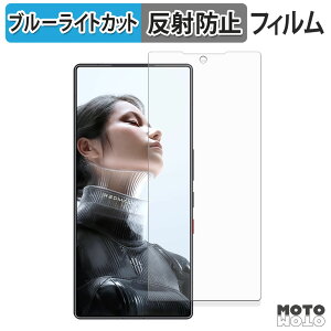 �y�|�C���g2�{�z �ی�t�B���� ZTE nubia REDMAGIC 11 Pro / Pro+ ( �C���J�������L�� ) �u���[���C�g�J�b�g �t�B���� �A���`�O���A ���{��