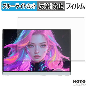 �ی�t�B���� Intehill 14�C���` ���o�C�����j�^�[ Q14ZA �u���[���C�g�J�b�g �t�B���� �A���`�O���A ���{��