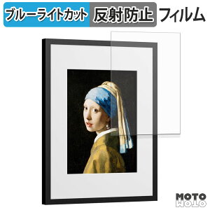 �y�|�C���g2�{�z �ی�t�B���� SwitchBot AI�A�[�g�L�����o�X 13.3�C���` �u���[���C�g�J�b�g �t�B���� �A���`�O���A ���{��