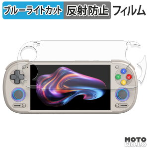 �y�|�C���g2�{�z �ی�t�B���� RETROID pocket 6 ( D-Pad Top ���f�� ) �u���[���C�g�J�b�g �t�B���� �A���`�O���A ���{��