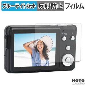 �ی�t�B���� AGFAPHOTO Realishot DC8300 �u���[���C�g�J�b�g �t�B���� �A���`�O���A ���{��