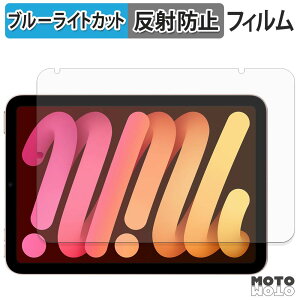 �y�|�C���g2�{�z �ی�t�B���� Apple iPad mini ( ��6���� �E 2021�N�������f�� ) �u���[���C�g�J�b�g �t�B���� �A���`�O���A ���{��