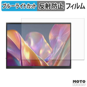 �ی�t�B���� JAPANNEXT JN-MD-iET105FP / JN-MD-IPST105FP �u���[���C�g�J�b�g �t�B���� �A���`�O���A ���{��