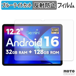 �y���������}���\���|�C���g2�{�z �ی�t�B���� FPD CP12-J1 �u���[���C�g�J�b�g �t�B���� �A���`�O���A ���{��