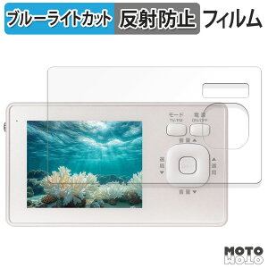 �y�|�C���g2�{�z �ی�t�B���� �_�C�������h�w�b�h OVER TIME OT-1WPT30TE �u���[���C�g�J�b�g �t�B���� �A���`�O���A ���{��