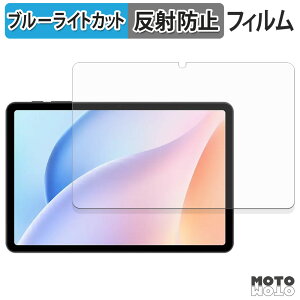 �y�|�C���g2�{�z �ی�t�B���� DOOGEE Tab A9 Pro �u���[���C�g�J�b�g �t�B���� �A���`�O���A ���{��