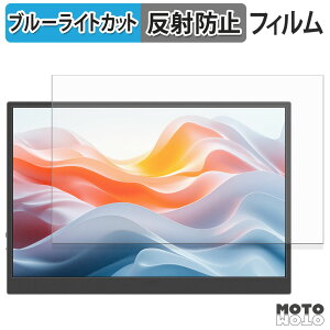 �ی�t�B���� JAPANNEXT JN-MD-IPS122WX �u���[���C�g�J�b�g �t�B���� �A���`�O���A ���{��