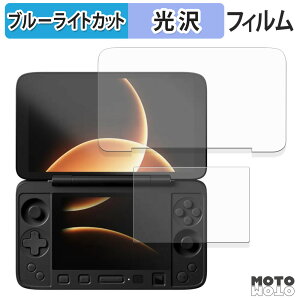 �y�|�C���g2�{�z �ی�t�B���� AYANEO Flip 1S DS ( ���C����� / �T�u��� ) �u���[���C�g�J�b�g �t�B���� ����d�l ���{��