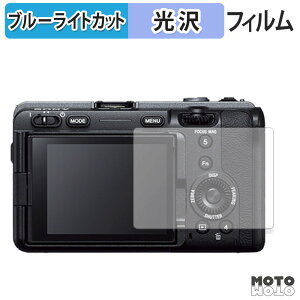 �ی�t�B���� SONY �v���t�F�b�V���i���J���R�[�_�[ FX3 ������ �u���[���C�g�J�b�g �t�B���� �����ߗ� ���{��