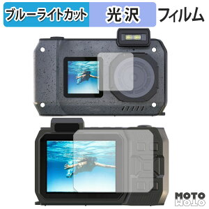 �ی�t�B���� AGFAPHOTO WP9500 ( �O�� / �w�� ) �u���[���C�g�J�b�g �t�B���� �����ߗ� ���{��