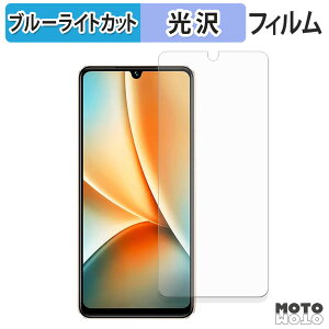 �y�|�C���g2�{�z vivo Y100 ������ �ی�t�B���� ����d�l �u���[���C�g�J�b�g �t�B���� ���{��