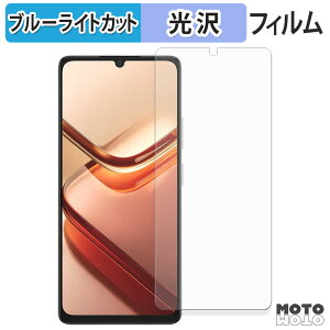 【ポイント2倍】 保護フィルム DOOGEE Note 58 / 58 Pro ブルーライトカット フィルム 光沢仕様 日本製