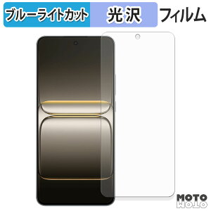 �y�|�C���g2�{�z �ی�t�B���� OnePlus Nord CE5 �u���[���C�g�J�b�g �t�B���� ����d�l ���{��