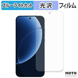 �y�|�C���g2�{�z �ی�t�B���� realme GT8 Pro �u���[���C�g�J�b�g �t�B���� ����d�l ���{��