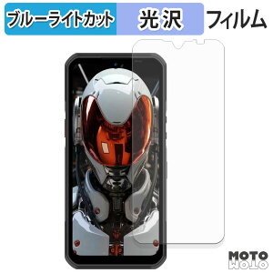 �y�|�C���g2�{�z �ی�t�B���� OUKITEL WP62 5G �u���[���C�g�J�b�g �t�B���� ����d�l ���{��