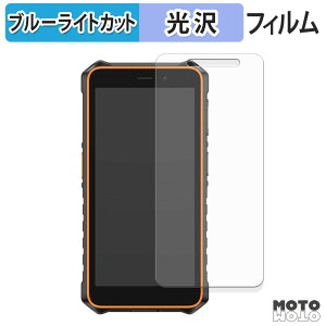 �y�|�C���g2�{�z �ی�t�B���� Ulefone RugKing 2 Pro �u���[���C�g�J�b�g �t�B���� ����d�l ���{��