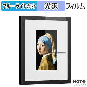 �y�|�C���g2�{�z �ی�t�B���� SwitchBot AI�A�[�g�L�����o�X 7.3�C���` �u���[���C�g�J�b�g �t�B���� ����d�l ���{��