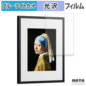 �ی�t�B���� SwitchBot AI�A�[�g�L�����o�X 13.3�C���` �u���[���C�g�J�b�g �t�B���� ����d�l ���{��