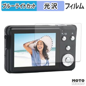 �ی�t�B���� AGFAPHOTO Realishot DC8300 �u���[���C�g�J�b�g �t�B���� �����ߗ� ���{��
