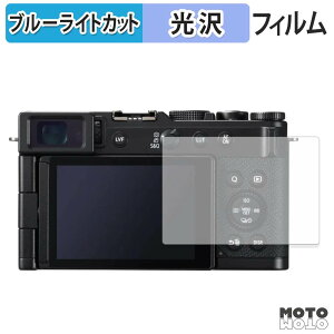 �ی�t�B���� Panasonic LUMIX DC-L10 �u���[���C�g�J�b�g �t�B���� �����ߗ� ���{��