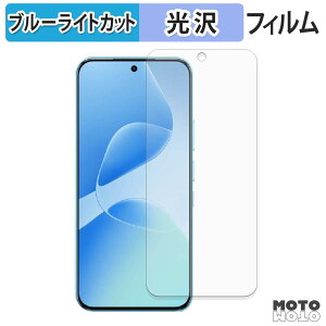 �y�|�C���g2�{�z �ی�t�B���� Infinix HOT 60 Pro �u���[���C�g�J�b�g �t�B���� ����d�l ���{��
