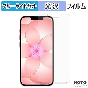 �ی�t�B���� Apple iPhone 17e �u���[���C�g�J�b�g �t�B���� ����d�l ���{��