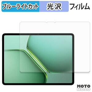 �y�|�C���g2�{�z �ی�t�B���� vivo iQOO Pad5e ������ �u���[���C�g�J�b�g �t�B���� ����d�l ���{��