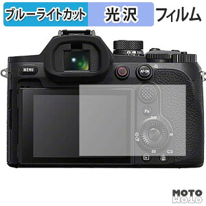 �ی�t�B���� SONY Cyber-shot RX10V ( DSC-RX10M5 ) �u���[���C�g�J�b�g �t�B���� �����ߗ� ���{��