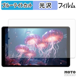 �y���������}���\���|�C���g2�{�z �ی�t�B���� Hasskya S30Pro �u���[���C�g�J�b�g �t�B���� ����d�l ���{��