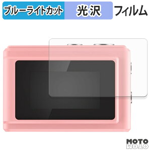 �y�|�C���g2�{�z �ی�t�B���� SAC MINI�J���� SMC01 (2���Z�b�g) �u���[���C�g�J�b�g �t�B���� �����ߗ� ���{��