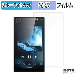 �y�|�C���g2�{�z �ی�t�B���� FIIO JM21 ������ �u���[���C�g�J�b�g �t�B���� ����d�l ���{��