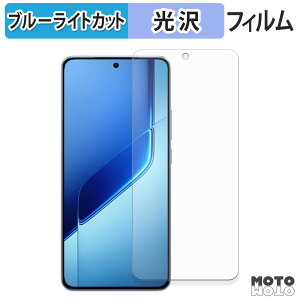 �ی�t�B���� vivo iQOO Neo10 Pro+ �u���[���C�g�J�b�g �t�B���� ����d�l ���{��