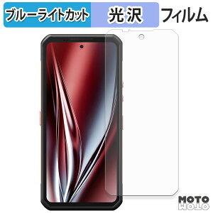 �ی�t�B���� Oukitel WP300 ( ���C���f�B�X�v���C ) �u���[���C�g�J�b�g �t�B���� ����d�l ���{��