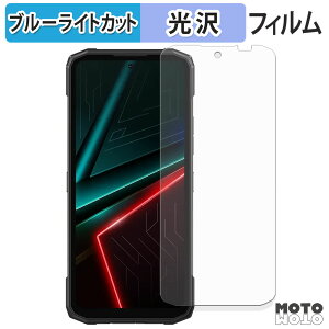 �y�|�C���g2�{�z �ی�t�B���� DOOGEE Blade20 �u���[���C�g�J�b�g �t�B���� ����d�l ���{��