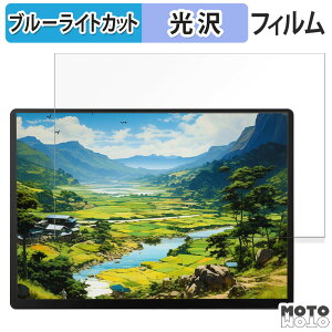�y�|�C���g2�{�z �ی�t�B���� ZSUS 14�C���` ���o�C�����j�^�[ PM14A-2k ������ �u���[���C�g�J�b�g �t�B���� ����d�l ���{��