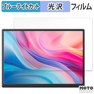 �ی�t�B���� JAPANNEXTJN-MD-IPS105FP �u���[���C�g�J�b�g �t�B���� ����d�l ���{��