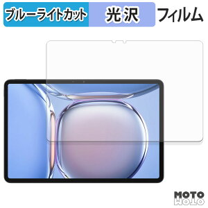 �y�|�C���g2�{�z �ی�t�B���� Blackview MEGA 3 �u���[���C�g�J�b�g �t�B���� ����d�l ���{��