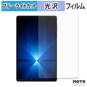 �y�|�C���g2�{�z �ی�t�B���� Lenovo Legion Y700 Gen 4 ( TB322FC ) �u���[���C�g�J�b�g �t�B���� ����d�l ���{��