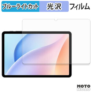 �y�|�C���g2�{�z �ی�t�B���� DOOGEE Tab A9 Pro �u���[���C�g�J�b�g �t�B���� ����d�l ���{��