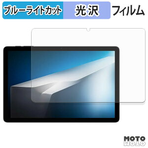 �y�|�C���g2�{�z �ی�t�B���� DOOGEE Tab A9+ �u���[���C�g�J�b�g �t�B���� ����d�l ���{��