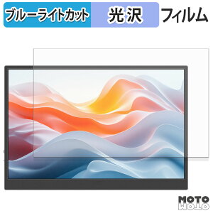 �ی�t�B���� JAPANNEXT JN-MD-IPS122WX �u���[���C�g�J�b�g �t�B���� ����d�l ���{��